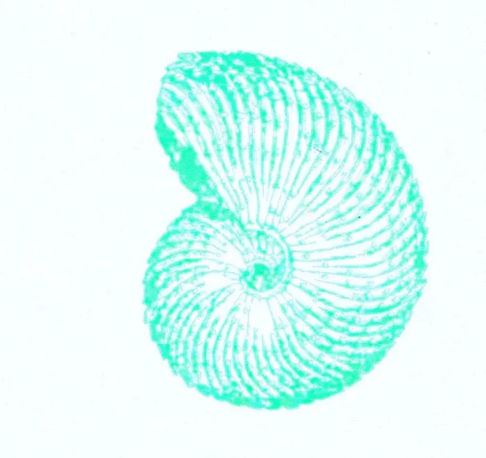 Ana Pesce - Advanced Skin Technology Picture 3