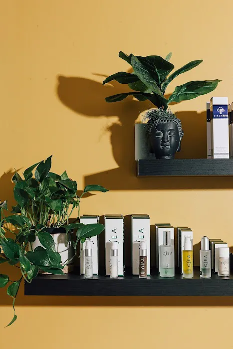 Viviane Aires Skin Wellness Facial Studio Picture 3