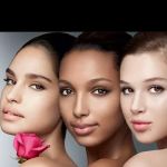 Silkcocoon Beauty Bar