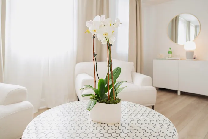 Perfect Place Aesthetics Picture 9