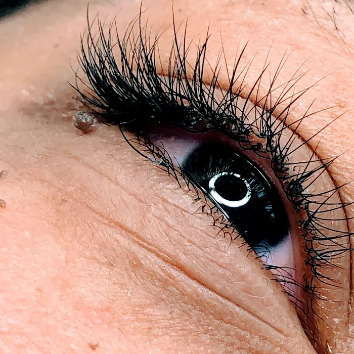 Dari Perly Studio LLC Picture 3