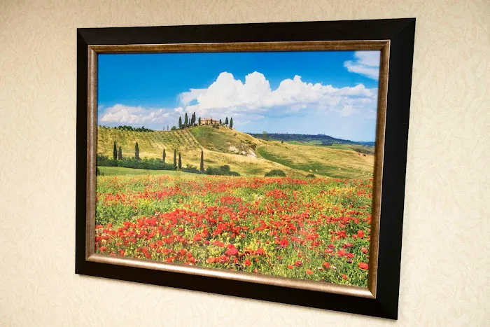 Bryn Mawr Skin & Cancer Institute (Bryn Mawr) Picture 5