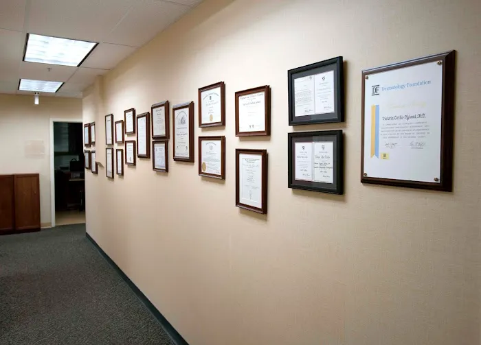 Bryn Mawr Skin & Cancer Institute (Bryn Mawr) Picture 6