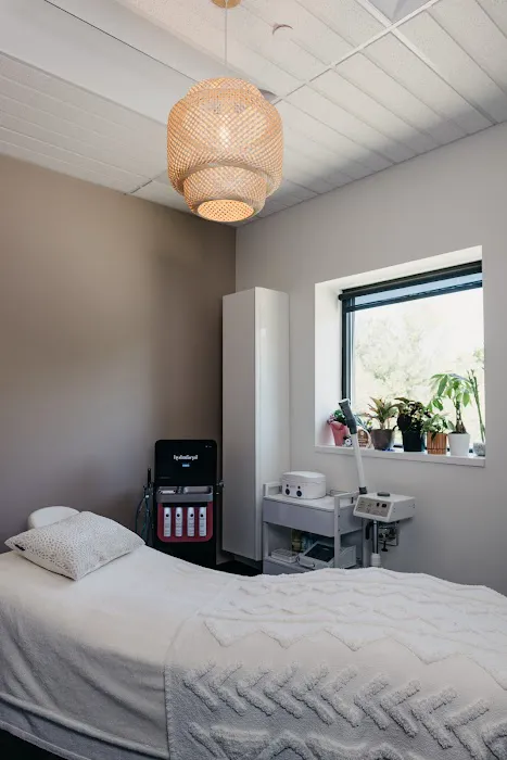 The Skin Artisté Picture 2