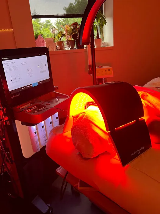 The Skin Artisté Picture 1