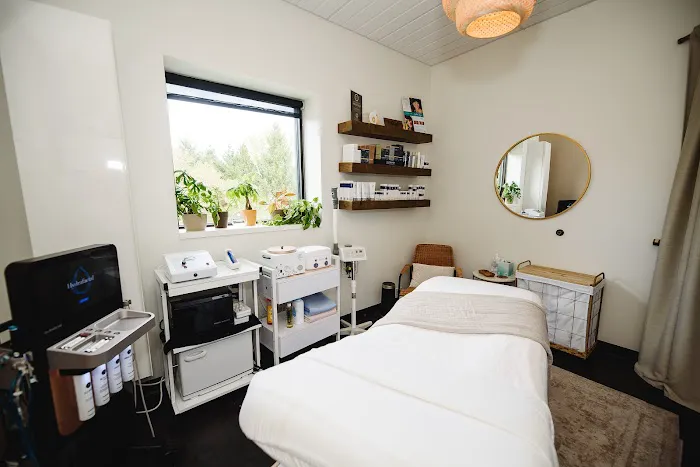 The Skin Artisté Picture 5