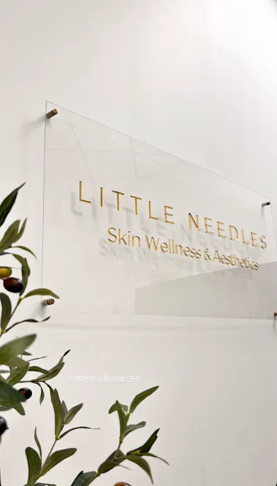 Little Needles by Gianna Rossi, PA-C Picture 6