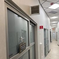 Arcadia Esthetics ico