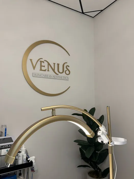 Venus Skincare & Aesthetics Picture 3