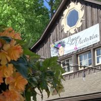 Lynn Victoria Cosmetic & Medical Skin Care ico