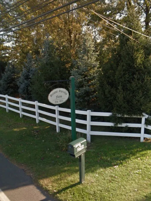 Beautiful You By Paula, LLC Esthetics & More Picture 6