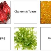 The Skin Care Source Inc. ico