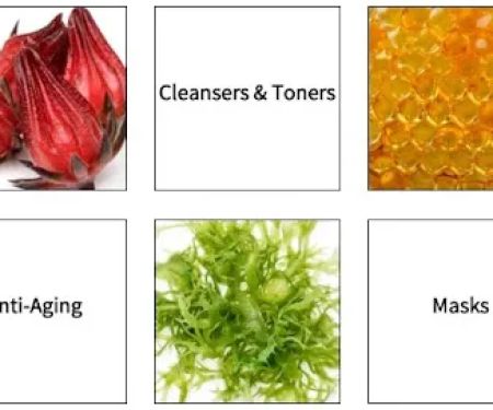 The Skin Care Source Inc.