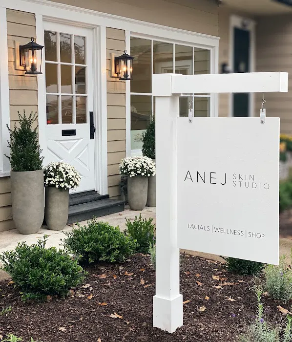 Anej Skin Studio Picture 2