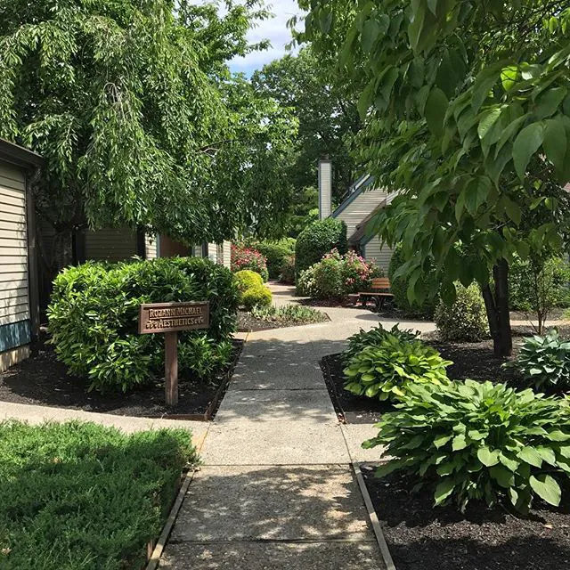 Rozann Michael Aesthetics Picture 5