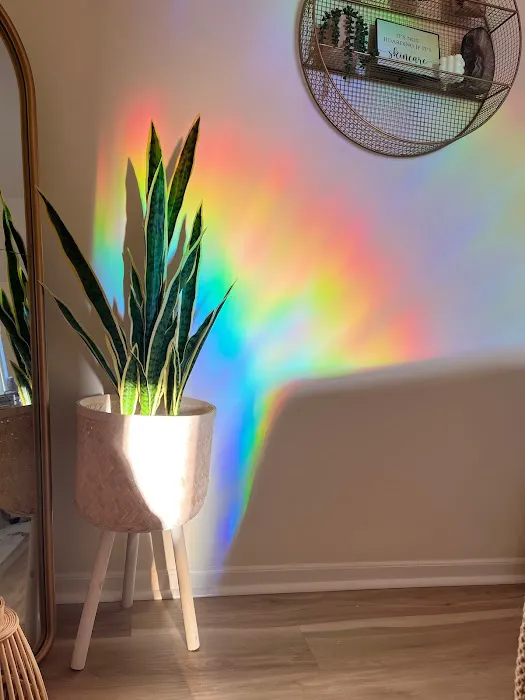 Demi Aesthetics Picture 4