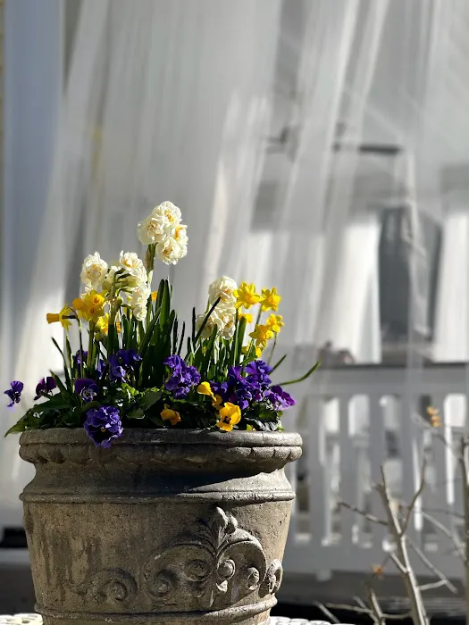 La Bella Vita Picture 3