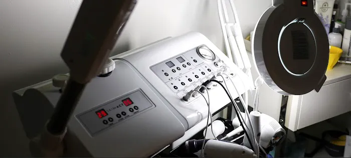 Sham Skin Care & Spa LLC Picture 7