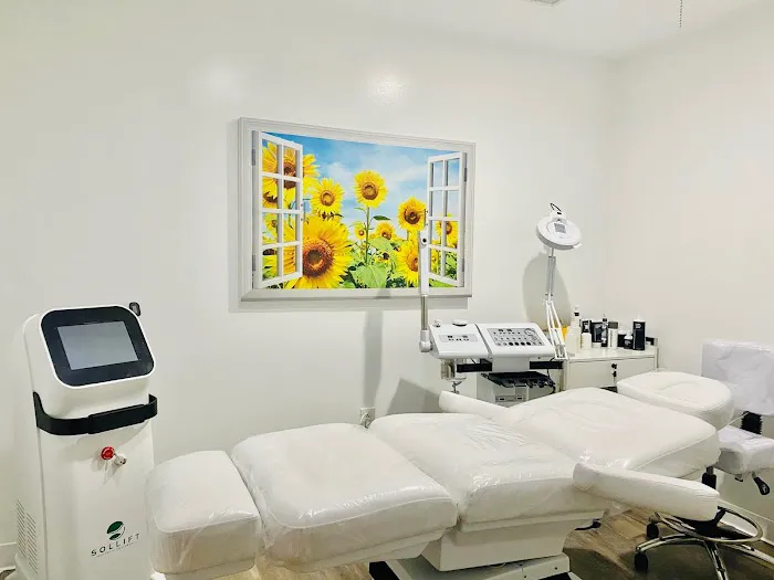 Sham Skin Care & Spa LLC Picture 10