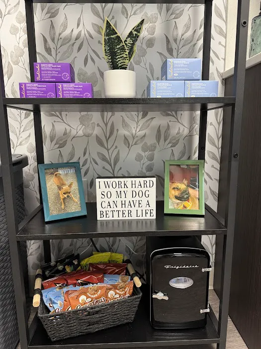 The Waxing Lounge Picture 1