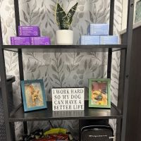 The Waxing Lounge ico