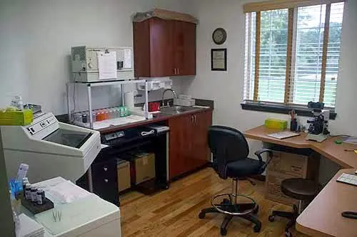 Advanced Dermatology Picture 5