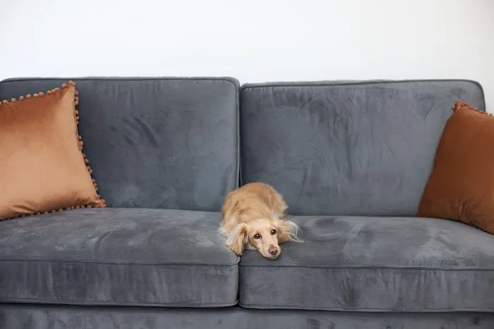 Face of Grace Picture 1