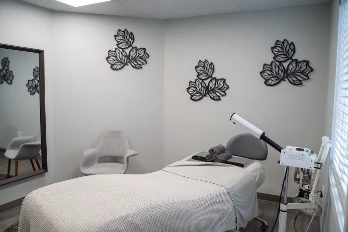 Source Medical Aesthetics Picture 5