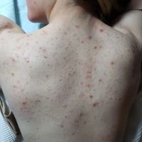 Diana's Earth Skincare Ltd. ico