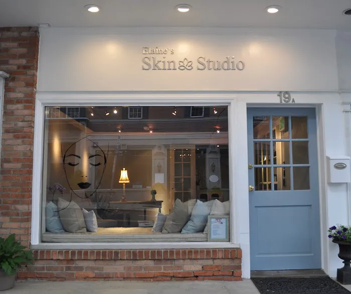 Elaine's Skin Studio Picture 1