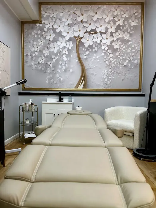 SHE Aesthetics Picture 1