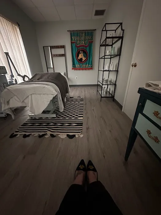 The Turquoise Pony Picture 1