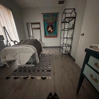 The Turquoise Pony ico