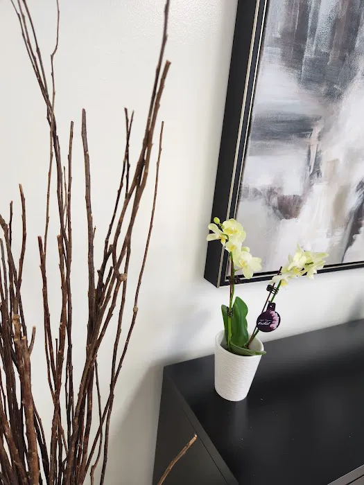 Korean Skincare Picture 6