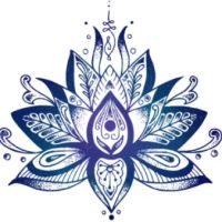 ASH Healing Aesthetics ico