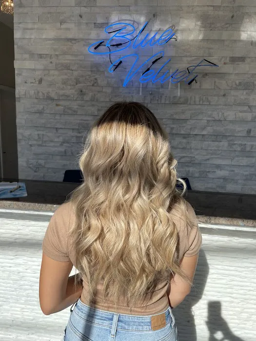 Blue Velvet Beauty Salon Picture 6