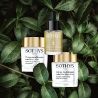 Remede Skin Care Center Inc ico