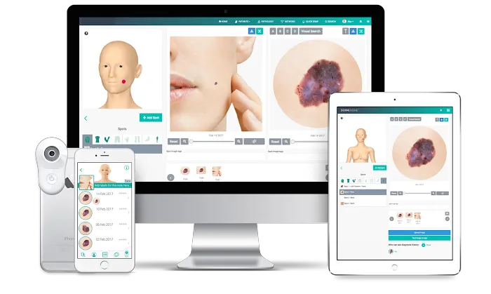 MoleSafe - Florham Park Picture 2