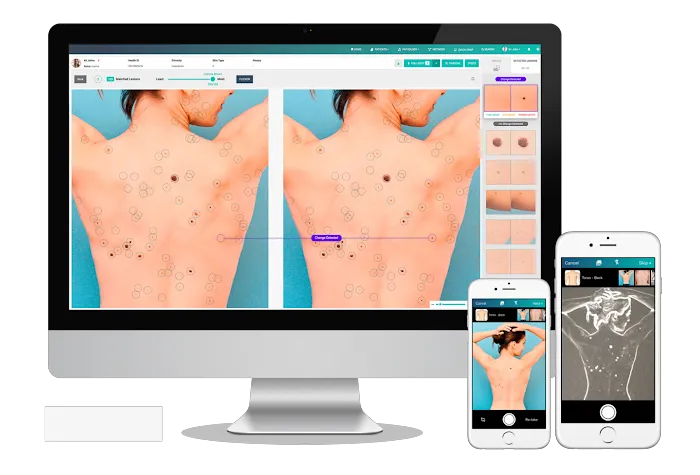 MoleSafe - Florham Park Picture 3