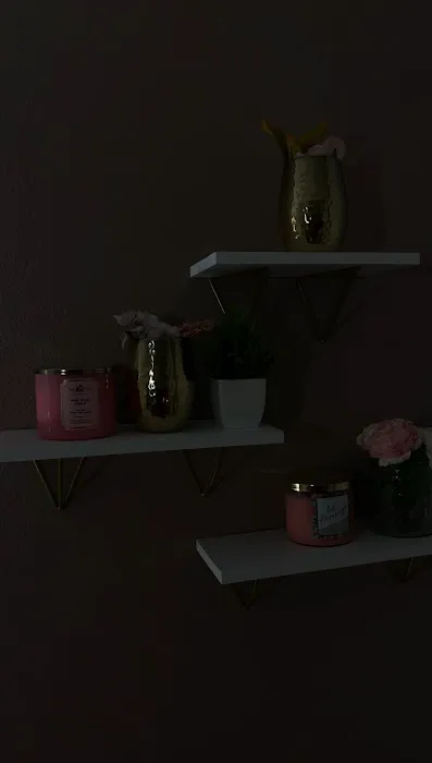 SkinXO by Candice Picture 8