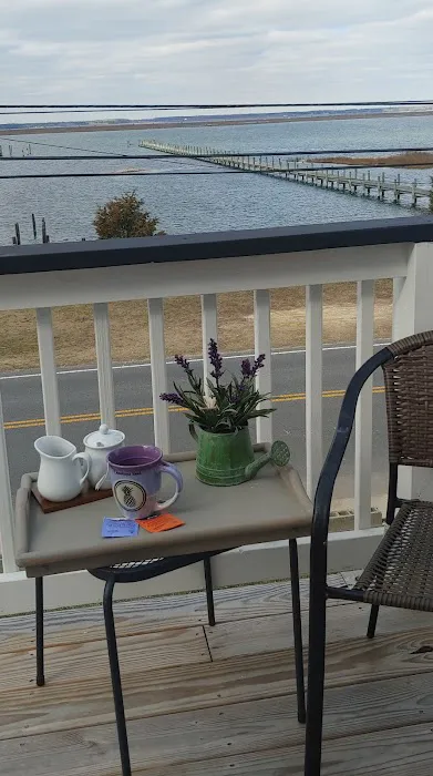 Ementee Esthetics Picture 2