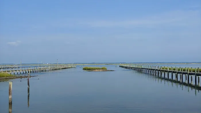 Ementee Esthetics Picture 4