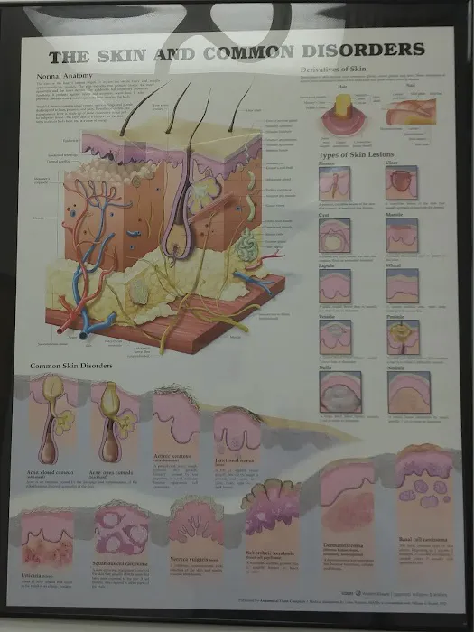 ATLANTIC DERMATOLOGY ASSOCIATES, LLC Picture 2