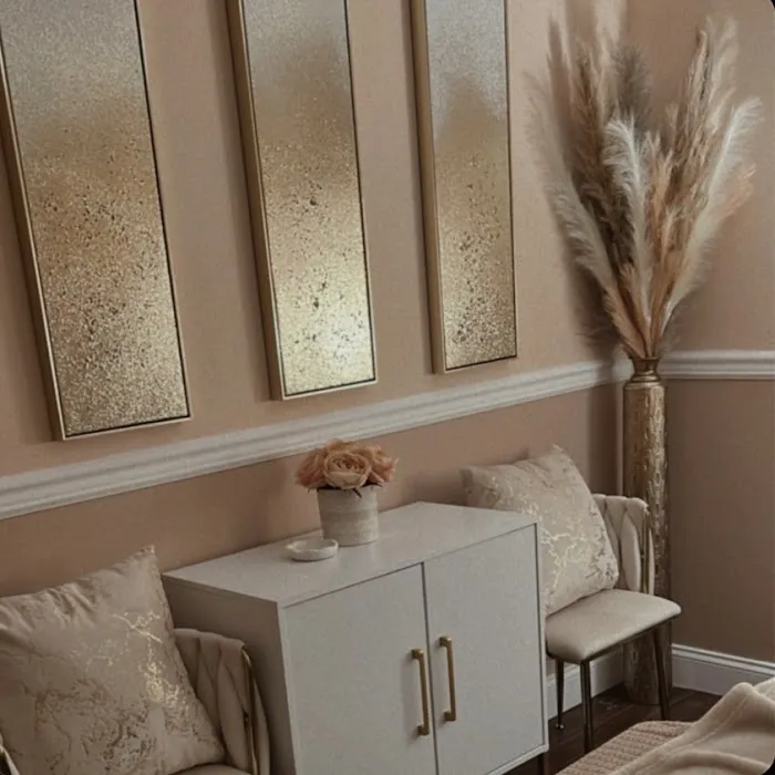 Amy Rose Aesthetics Picture 1