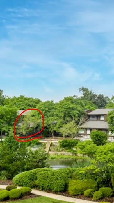 The Skin Tune Picture 5