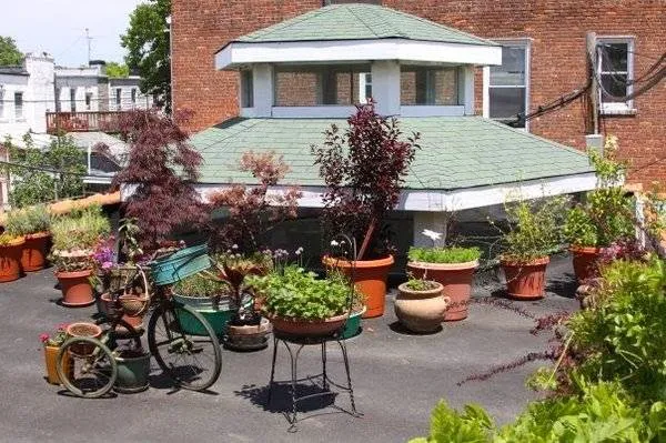 Goldy's Clinic Picture 1