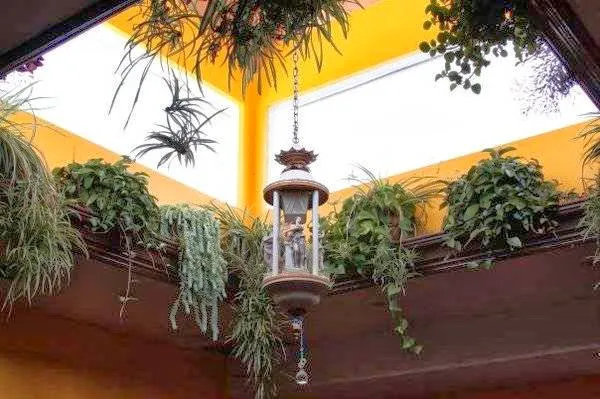 Goldy's Clinic Picture 3