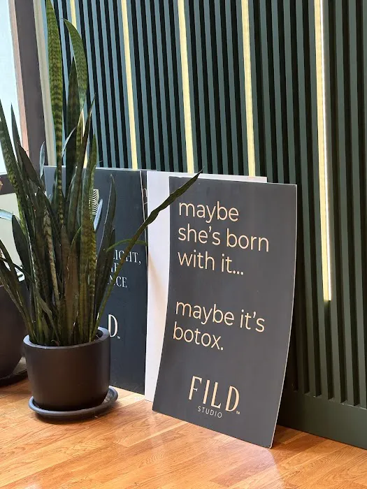 FILD Studio Picture 6