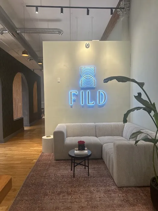 FILD Studio Picture 8