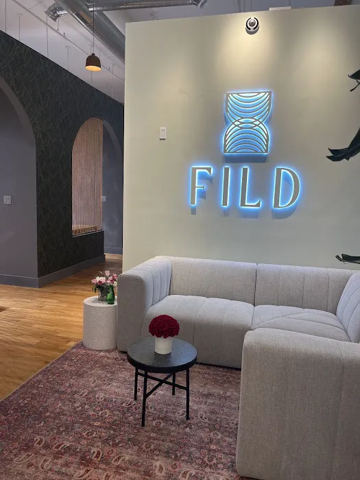 FILD Studio Picture 7